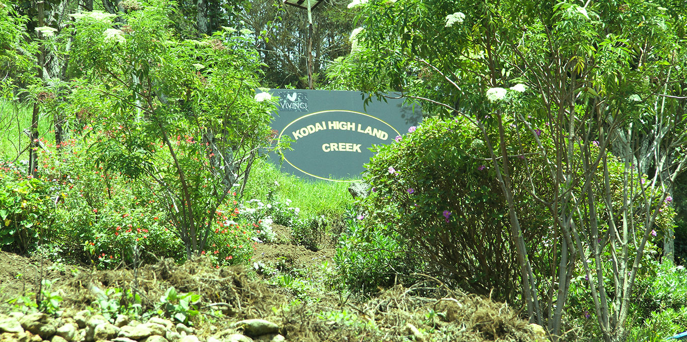 Royal Kodai Highland Creek